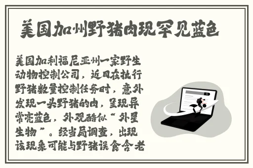 种子搜索神器